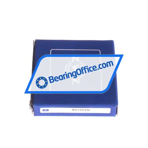 ZWZ NU1009M bearing image 4