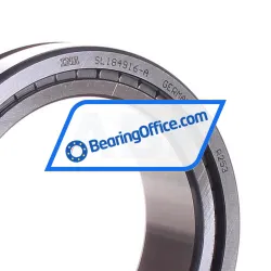 INA SL184916-A rulman resim 2