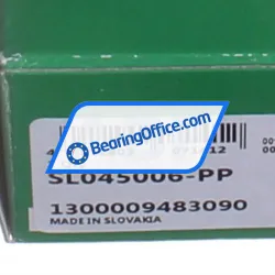 INA SL045006-PP rulman resim 4