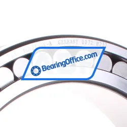 INA SL024936-A rulman resim 2