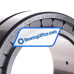 INA SL185020-A rulman resim 2