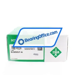 INA SL185017-A rulman resim 5