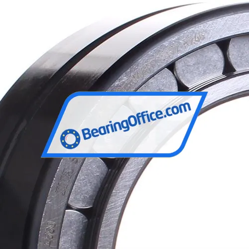 INA SL185022-A-C3 bearing image 2