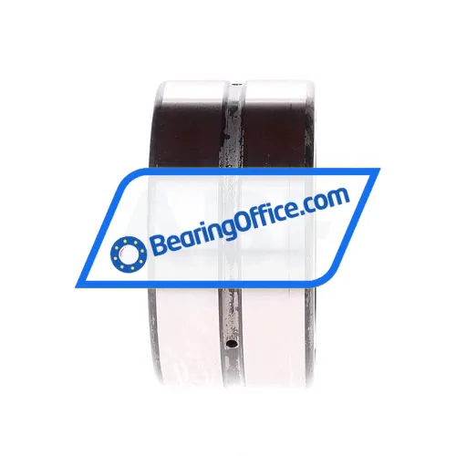 INA SL185010-A-C3 bearing image 2