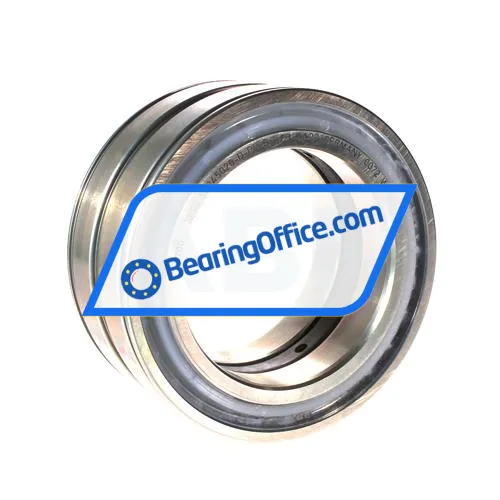 INA SL045020-D-PP-RR-C3-GA22