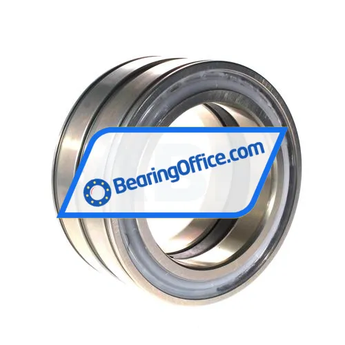 INA SL045020-D-PP-RR-C3-GA22 bearing image 3