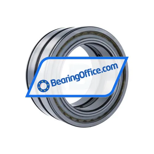 INA SL045024-D-PP-C3 bearing image 2