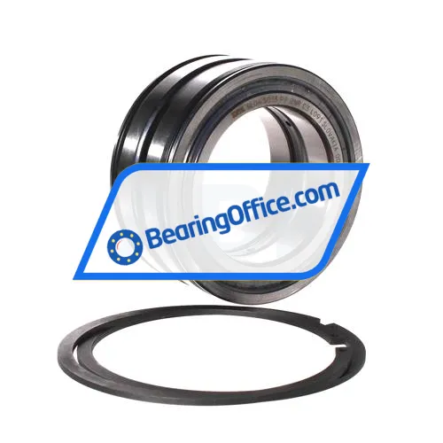 INA SL045013-PP-2NR-C3-L091