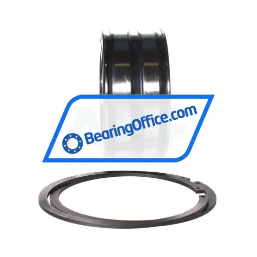 INA SL045013-PP-2NR-C3-L091 bearing image 2