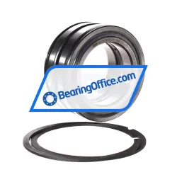 INA SL045013-PP-2NR-C3-L091