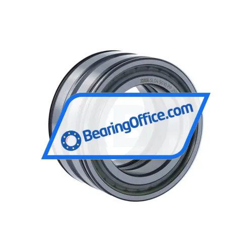 INA SL045010-PP-2NR-C3-L091