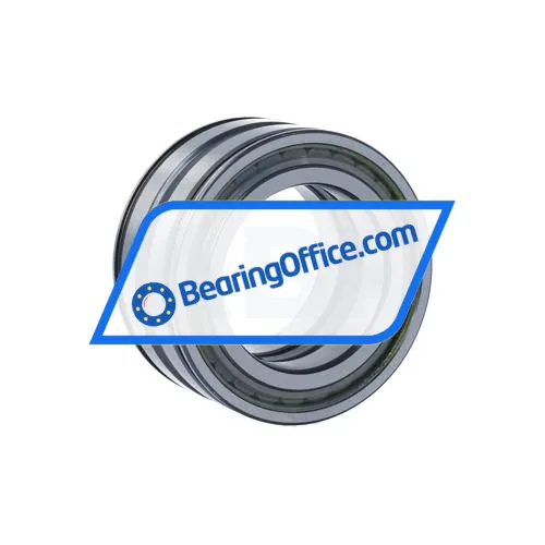 INA SL045010-PP-2NR-C3-L091 bearing image 2