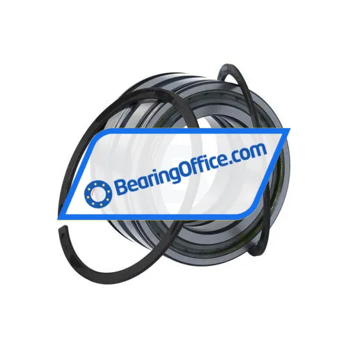 INA SL045010-PP-2NR-C3-L091 bearing image 3