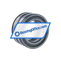 INA SL045010-PP-2NR-C3-L091