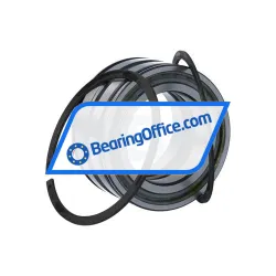 INA SL045010-PP-2NR-C3-L091 rulman resim 3