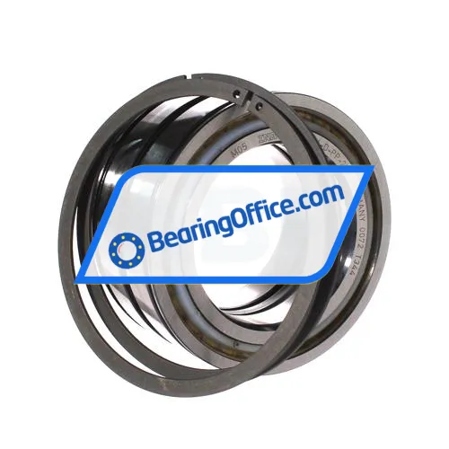 INA SL045016-D-PP-2NR