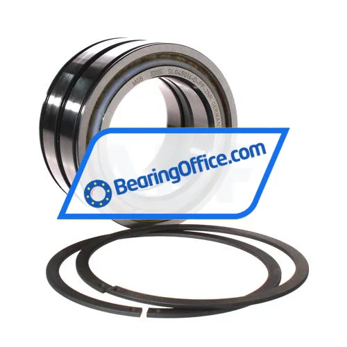 INA SL045016-D-PP-2NR bearing image 2