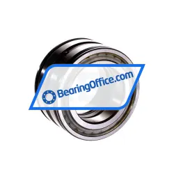 INA SL045009-PP-C4 rulman resim 3