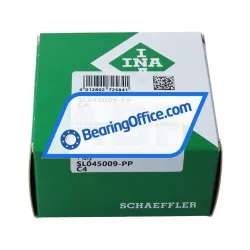 INA SL045009-PP-C4 rulman resim 4