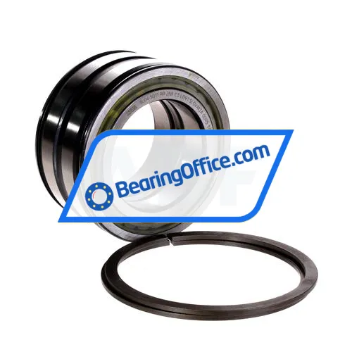 INA SL045011-PP-2NR-C3-L091