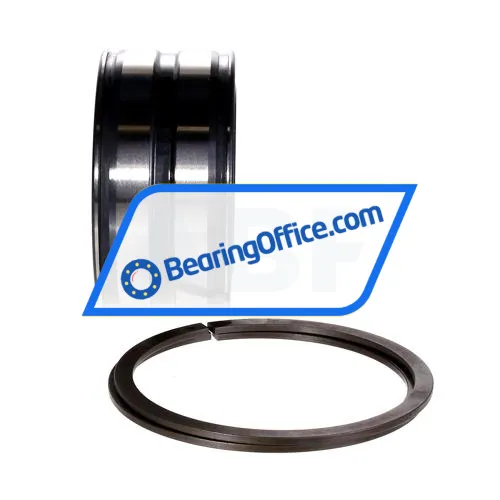 INA SL045011-PP-2NR-C3-L091 bearing image 2