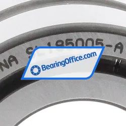 INA SL185005-A rulman resim 3