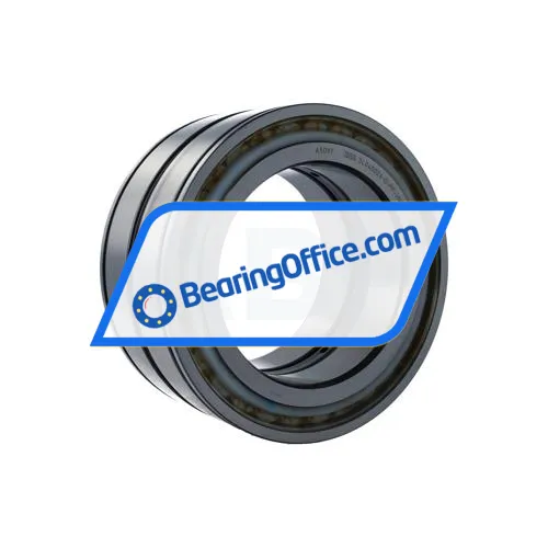 INA SL045026-D-PP-2NR-C3