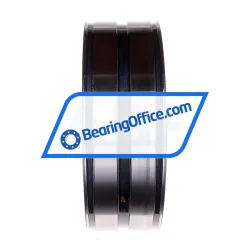 INA SL04180-D-PP rulman resim 2