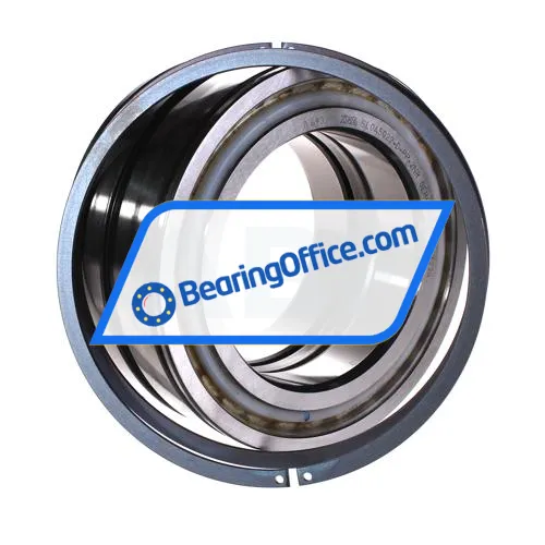 INA SL045022-D-PP-2NR