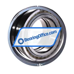 INA SL045022-D-PP-2NR