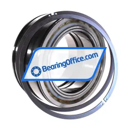 INA SL045022-D-PP-2NR rulman resim 3