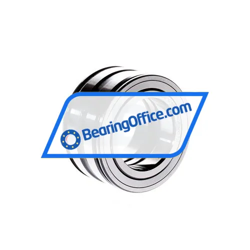 INA SL045009-2Z bearing image 2