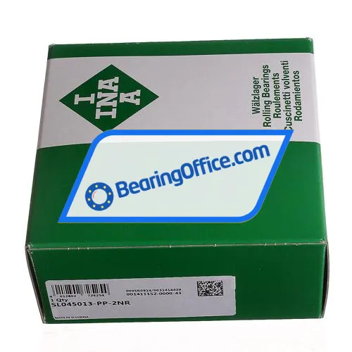 INA SL045013-PP-2NR bearing image 2