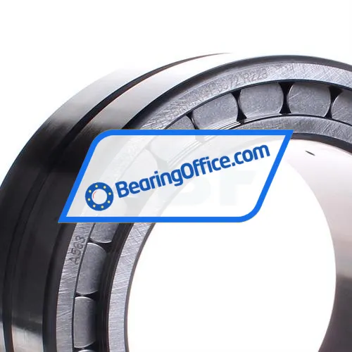 INA SL185024-A-C3 bearing image 2