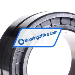 INA SL185024-A-C3 rulman resim 2