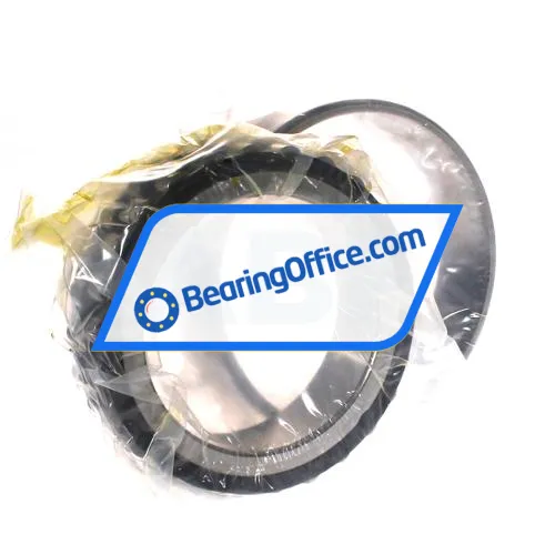 FAG NN3021-D-K-TVP-SP-XL