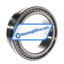 INA SL024930-A rulman resim 3