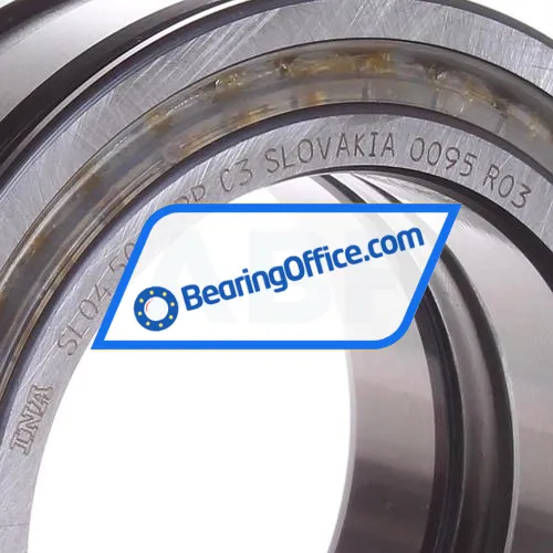 INA SL045013-PP-C3 bearing image 2