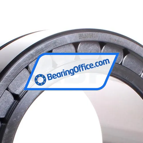 INA SL185028-A bearing image 2