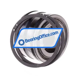 INA SL045006-PP-2NR rulman resim 2