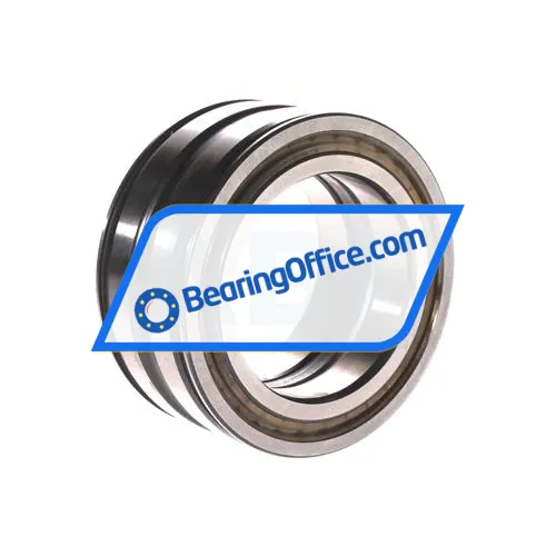 INA SL045013-PP bearing image 3