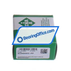 INA SL045005-PP rulman resim 4