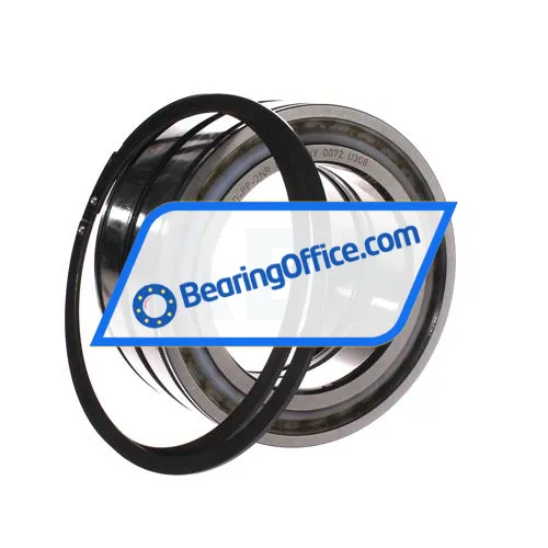 INA SL045019-D-PP-2NR