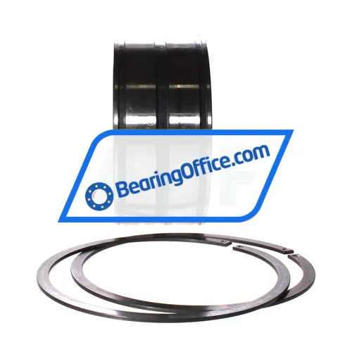 INA SL045019-D-PP-2NR bearing image 3