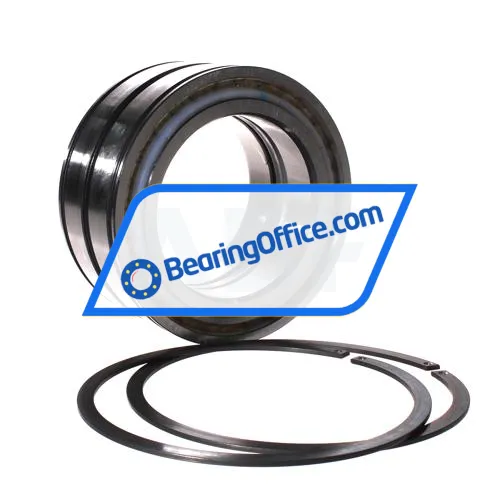 INA SL045019-D-PP-2NR bearing image 4
