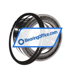 INA SL045019-D-PP-2NR