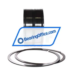 INA SL045019-D-PP-2NR rulman resim 3