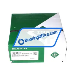 INA SL045019-D-PP-2NR rulman resim 5