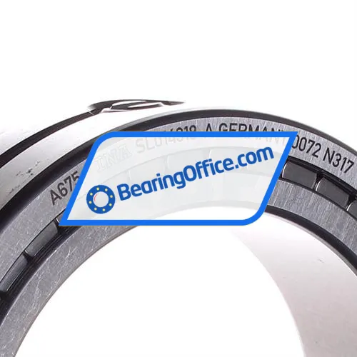 INA SL014918-A bearing image 2