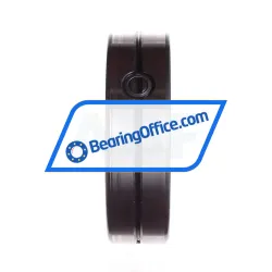 INA SL014918-A rulman resim 3